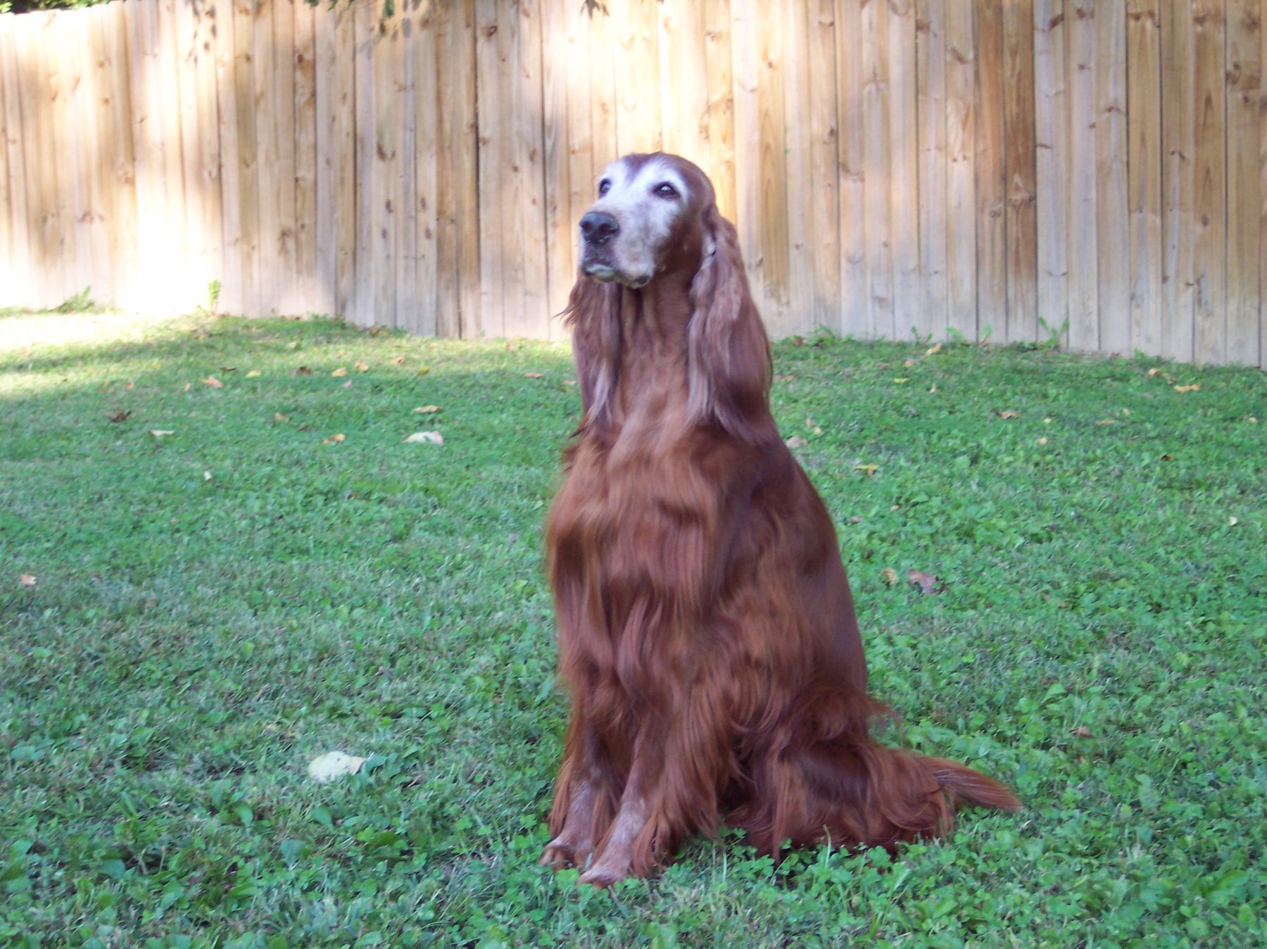 Question of the Week